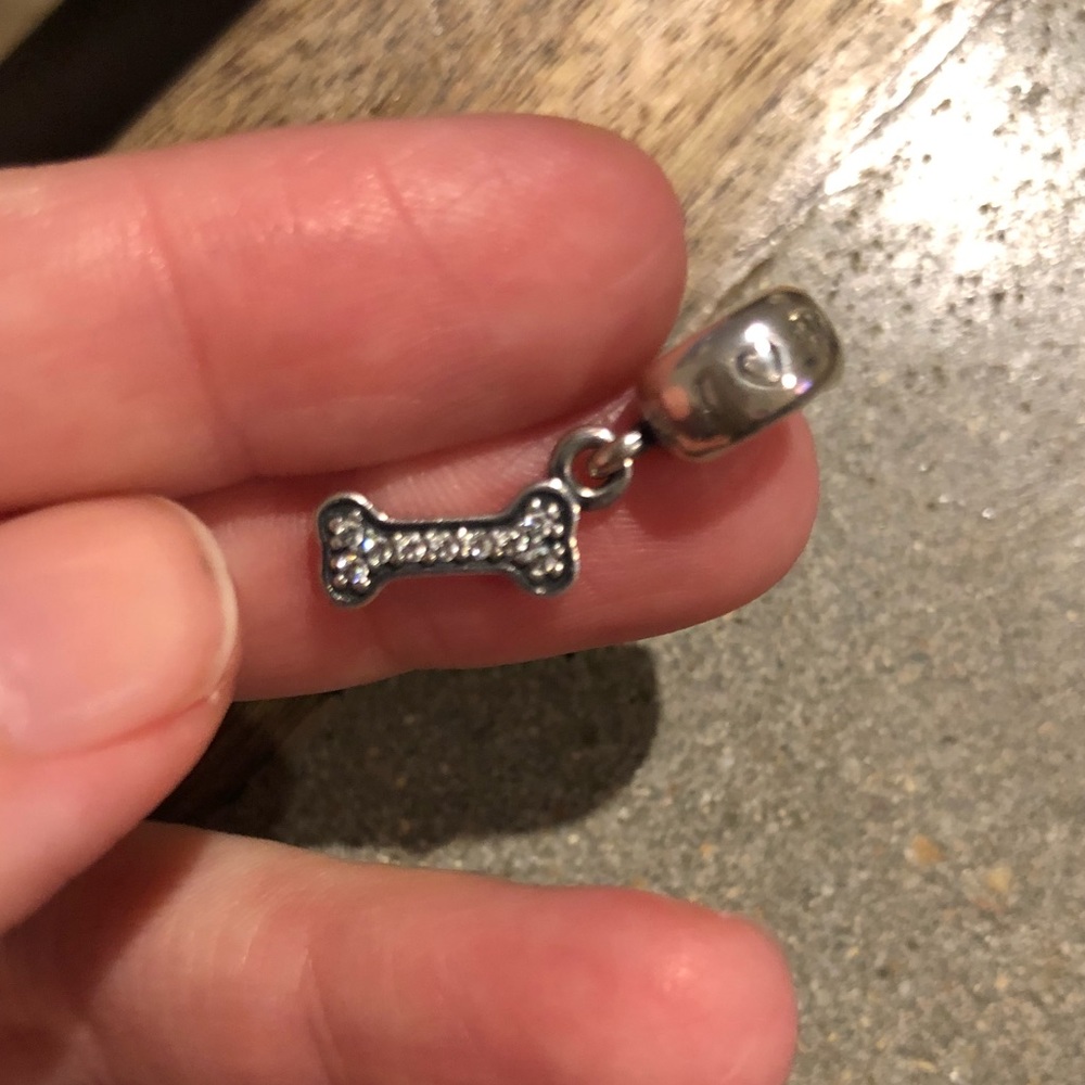 Pandora charm